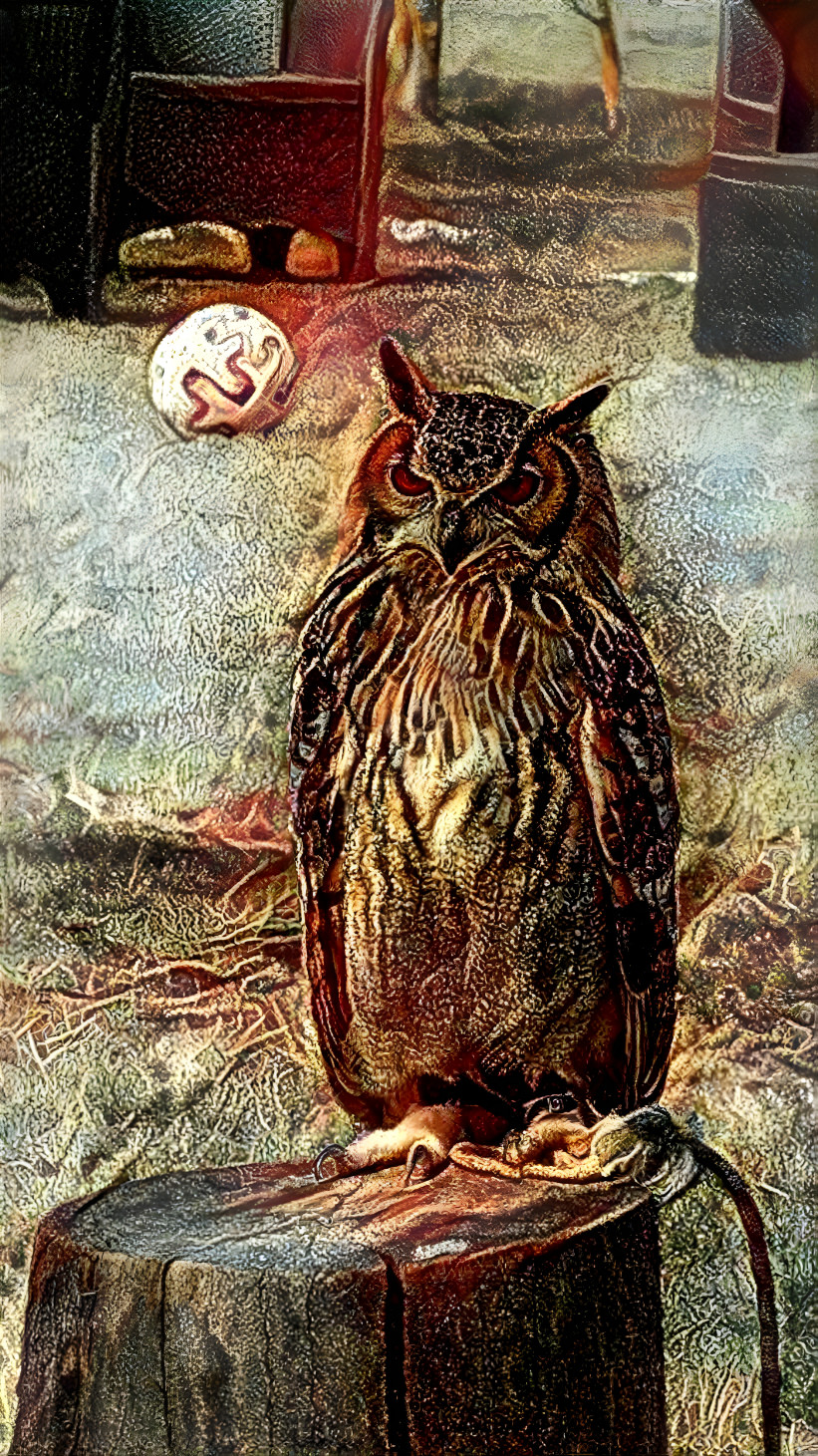 Owl