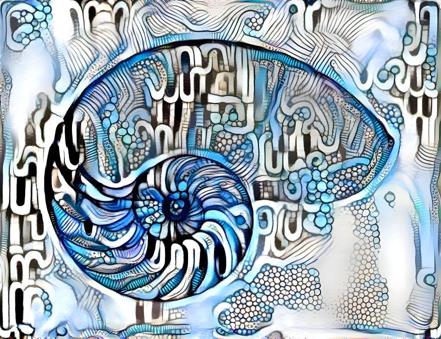 Cool Blue Nautilus