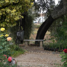 Tranquil garden scene with wooden bench, trees, flowers, lamp post, and sunlight beams.