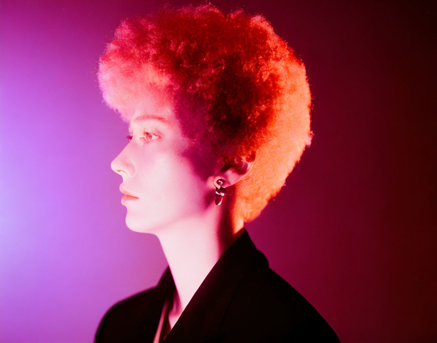 Person with Afro Hair Lit by Pink and Purple Light on Dark Background