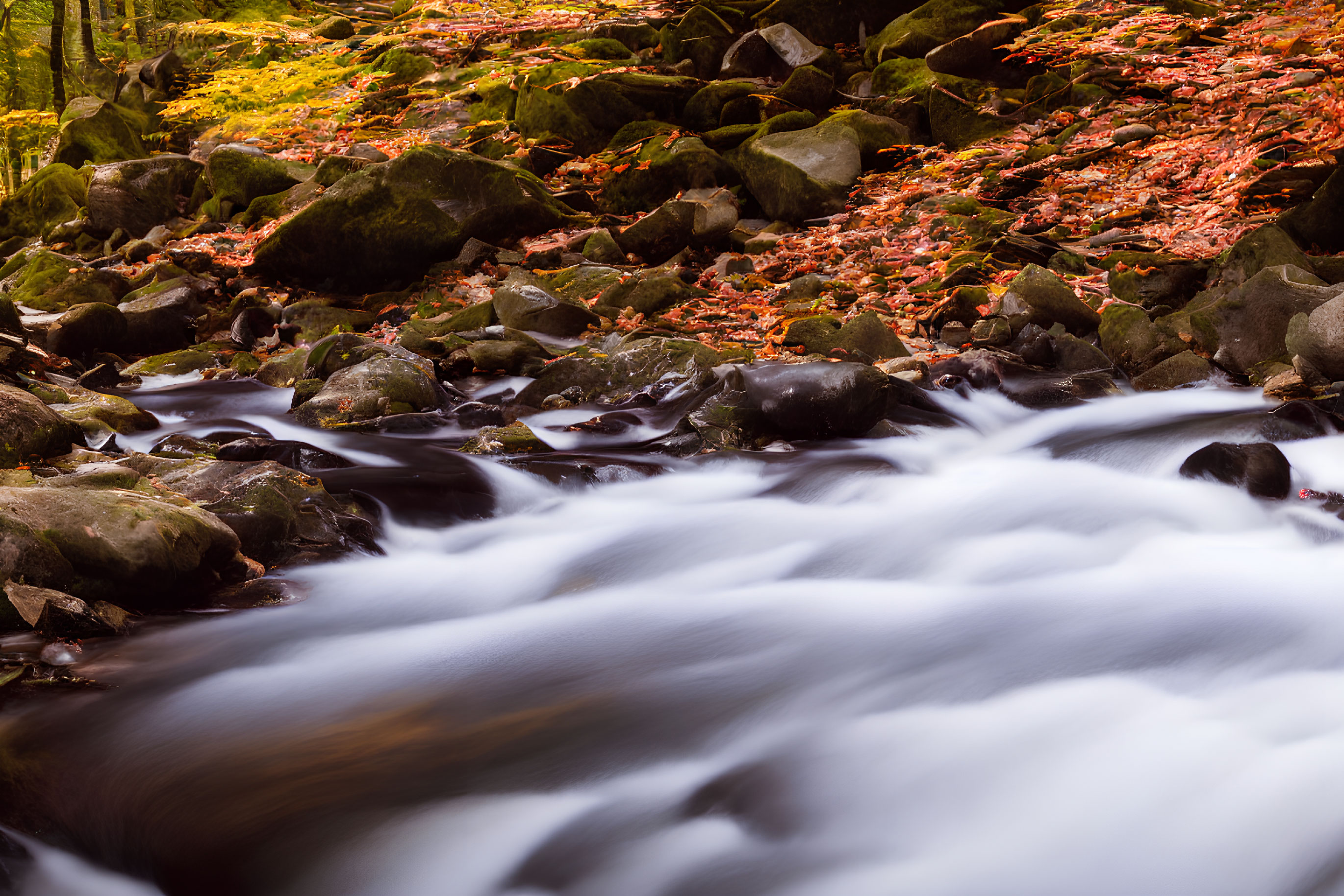 Tranquil Forest River Scene with Autumn Trees