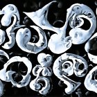 Abstract black and white swirling patterns and textures with gleaming light.