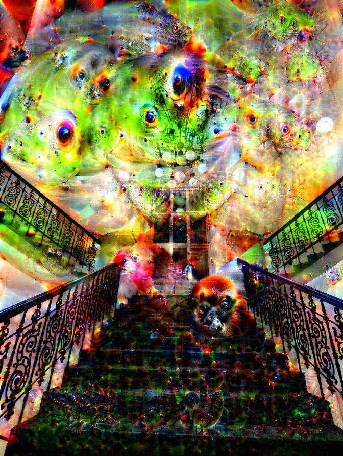 Staircase of frogs