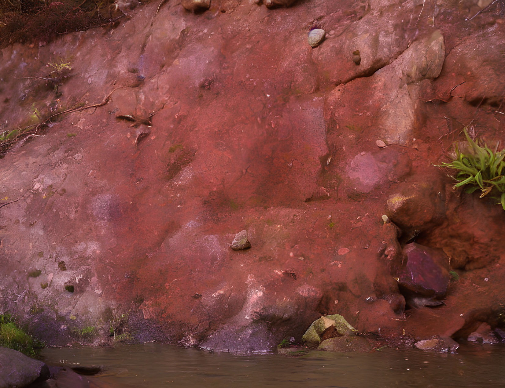 Moist Reddish-Brown Earthy Embankment with Stones and Water Body