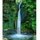 Tranquil waterfall flowing over mossy rocks into lush pool