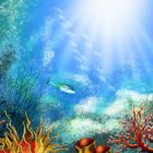 Colorful Coral Reef with Starfish in Clear Blue Water