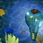 Colorful underwater scene with yellow fish, corals, and floating water bubble.