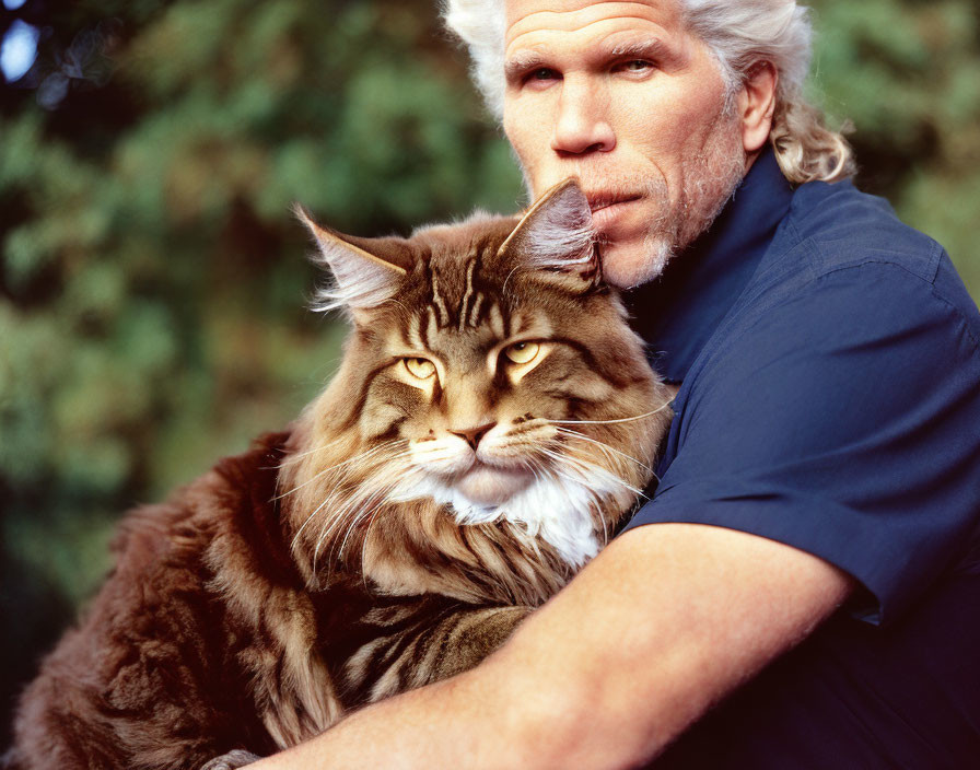 White-haired man cuddling a large Maine Coon cat outdoors