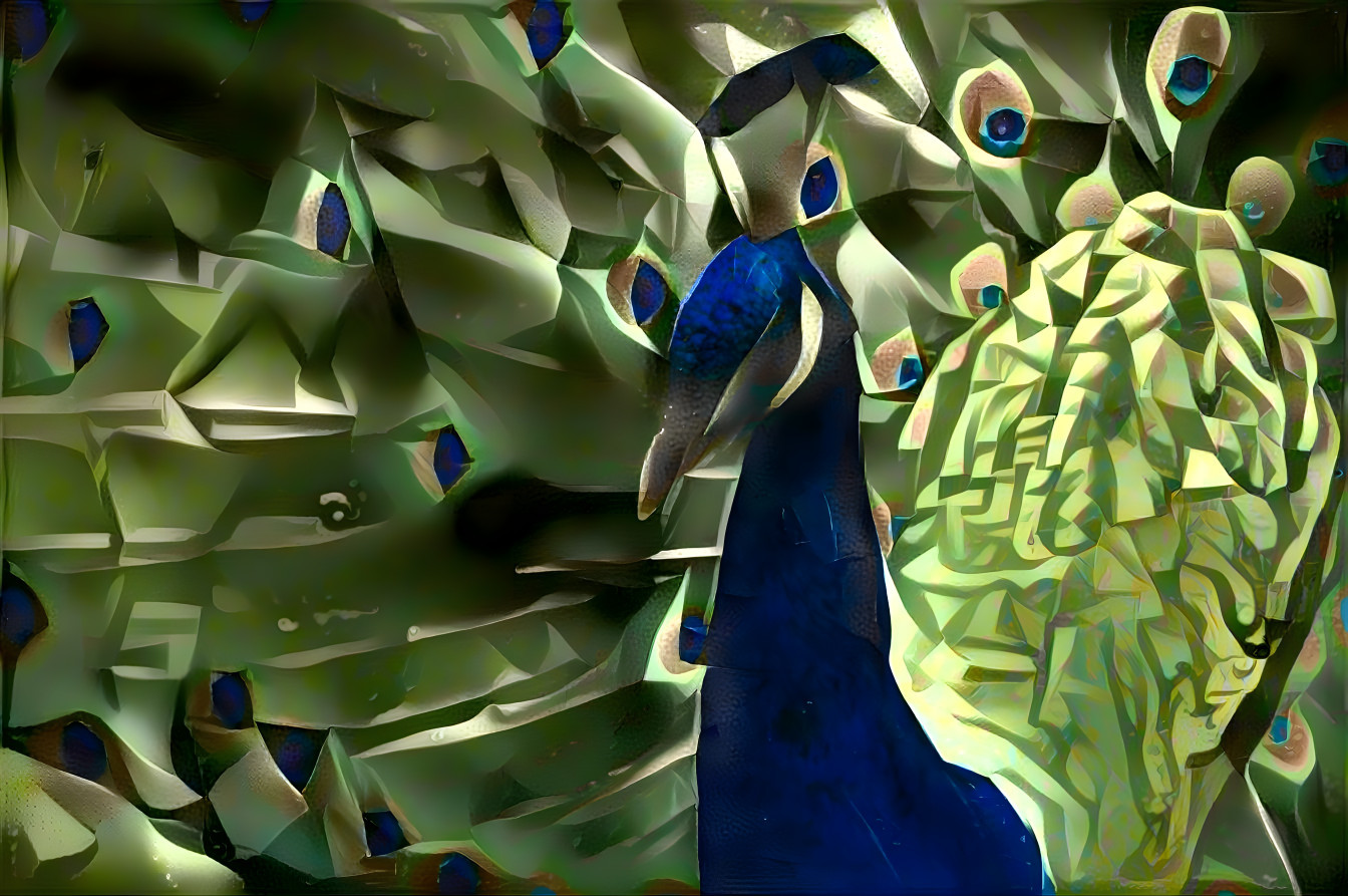 peacock