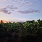 Tranquil dusk landscape with vibrant wildflowers, cozy houses, and colorful sky