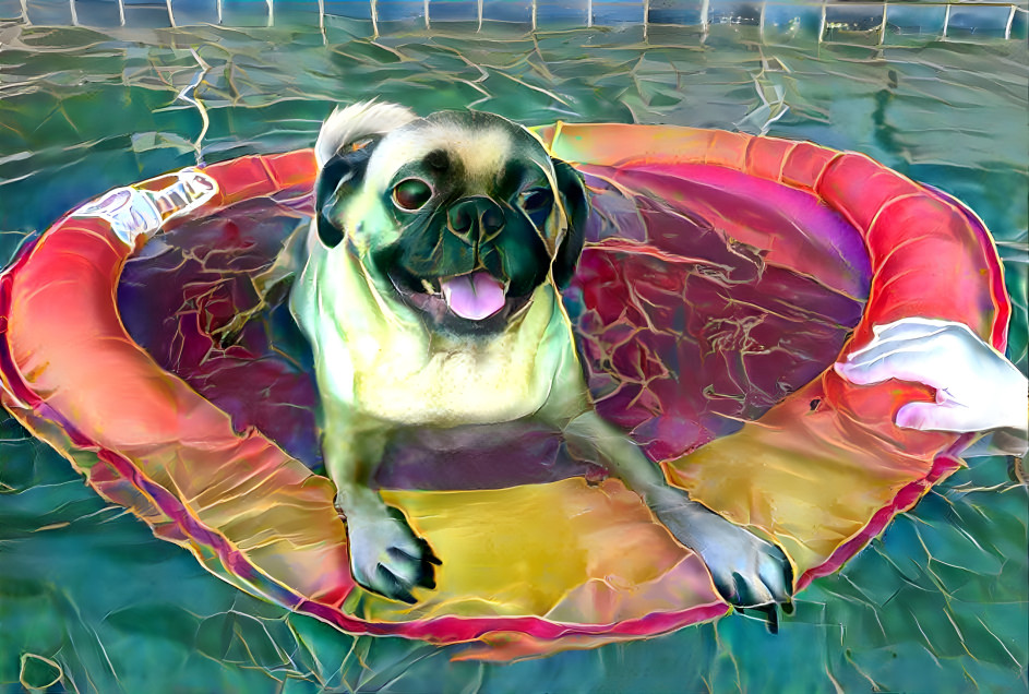 Pooly pug