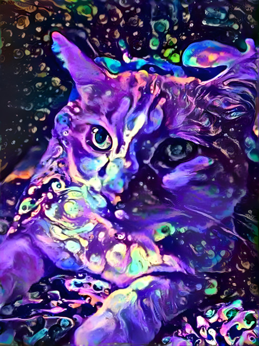 cosmic cat