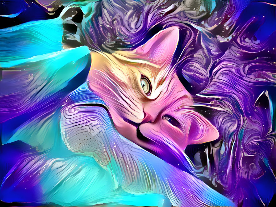 Catty dreams