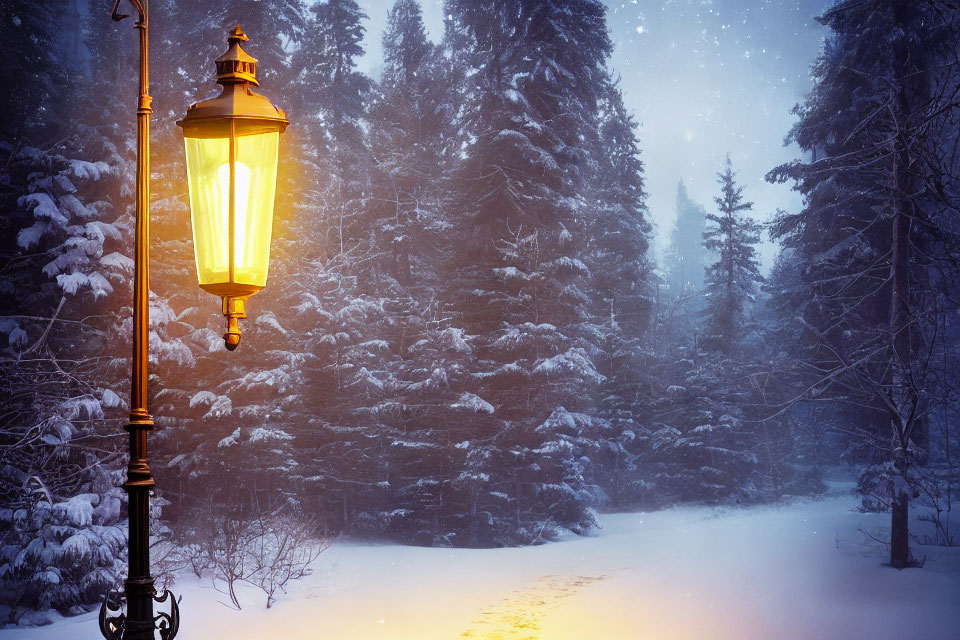 Snow-covered path illuminated by warm street lamp in pine forest snowfall.