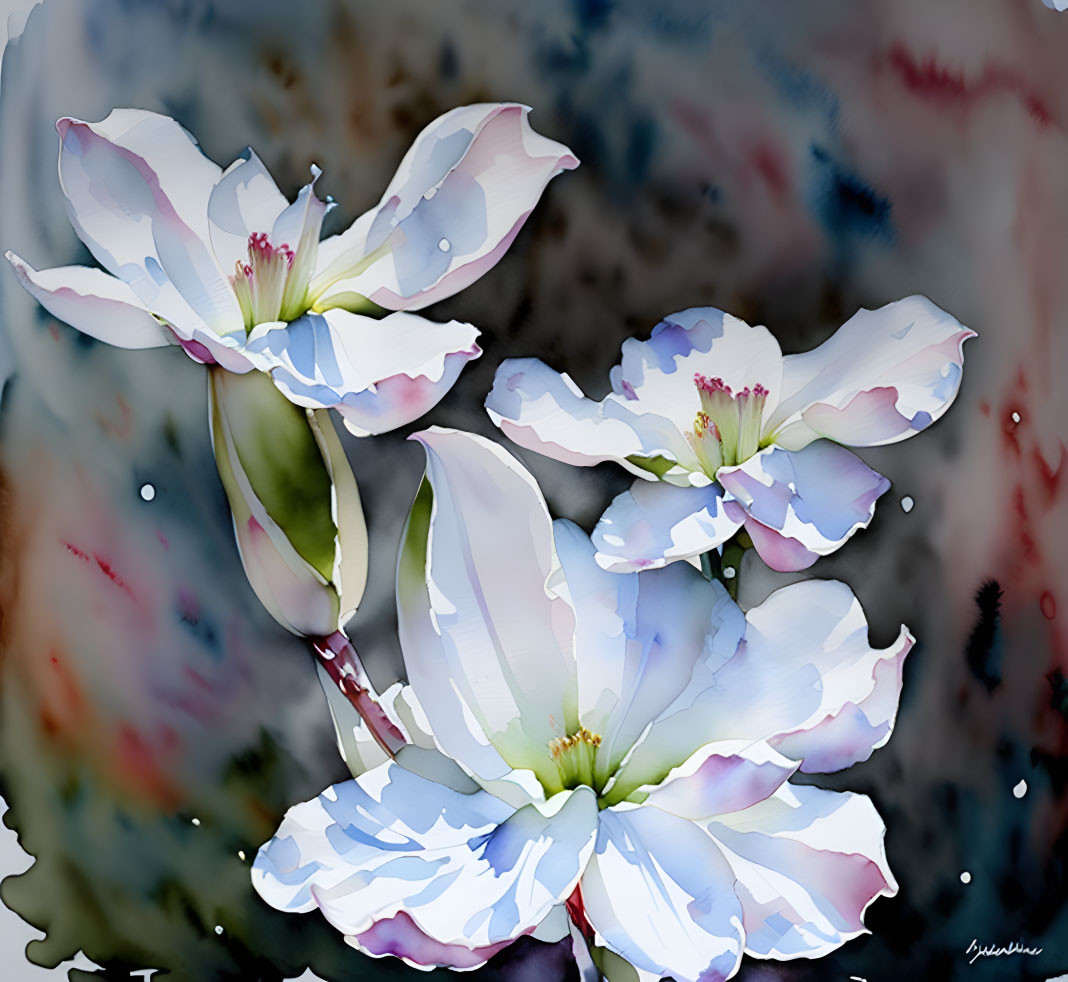 Delicate white flowers in watercolor against blue and crimson backdrop