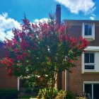 Fantasy tree with red blossoms and golden trunk near majestic Gothic castle.