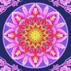 Symmetrical mandala digital art with pink, purple, and orange petals around a golden star.