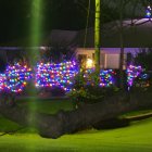 Nocturnal garden with glowing purple flowers and lanterns