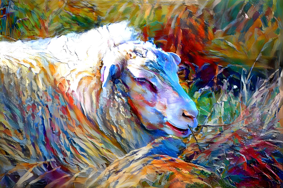 sheep