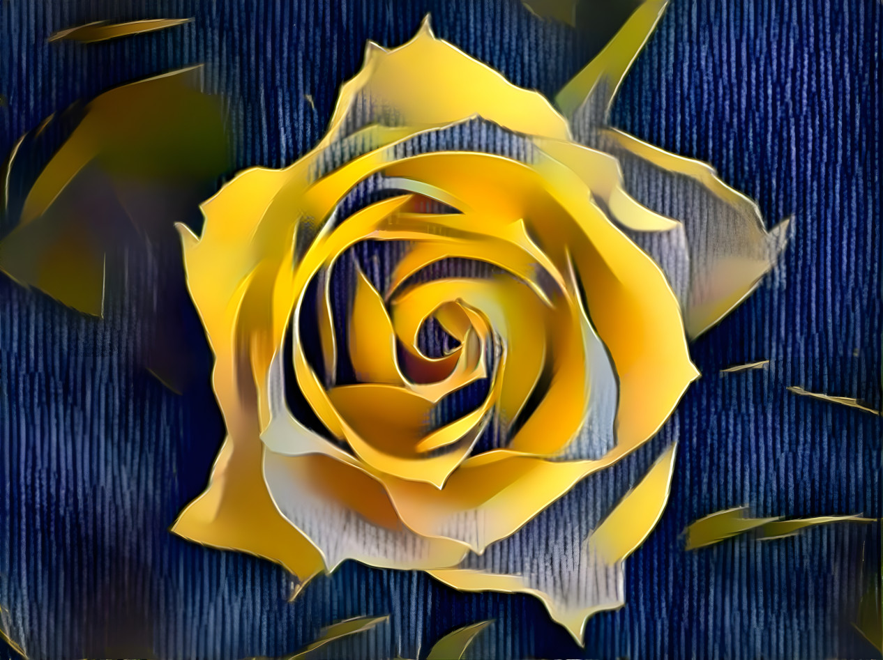 Yellow Rose