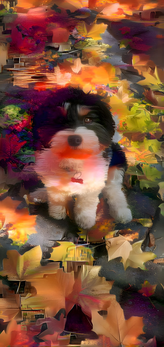 Ernie in the Fall