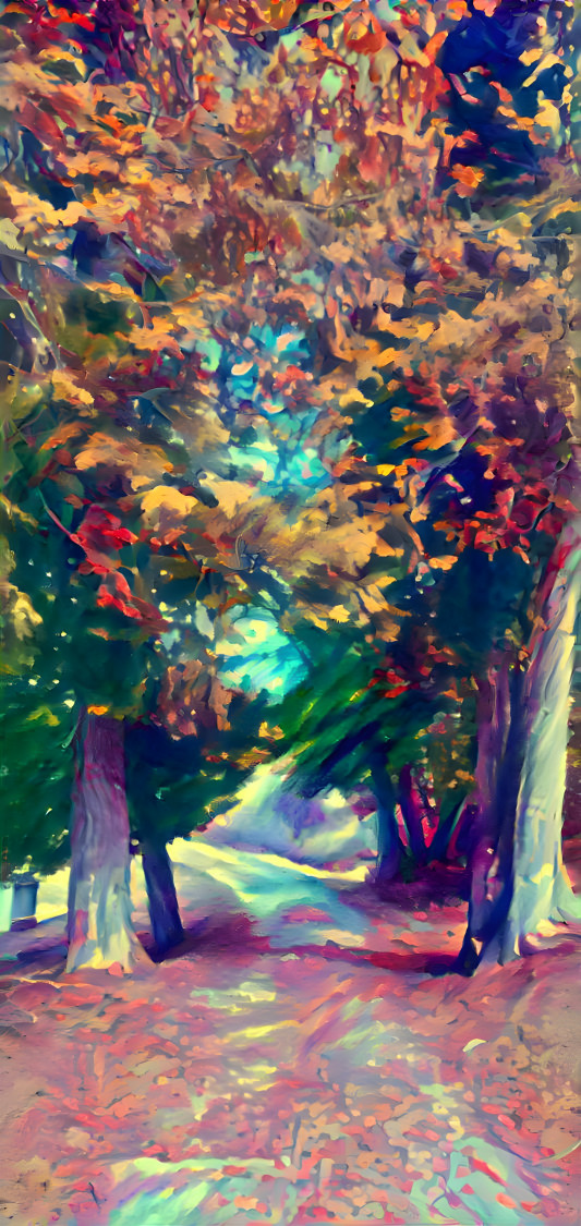 Forest