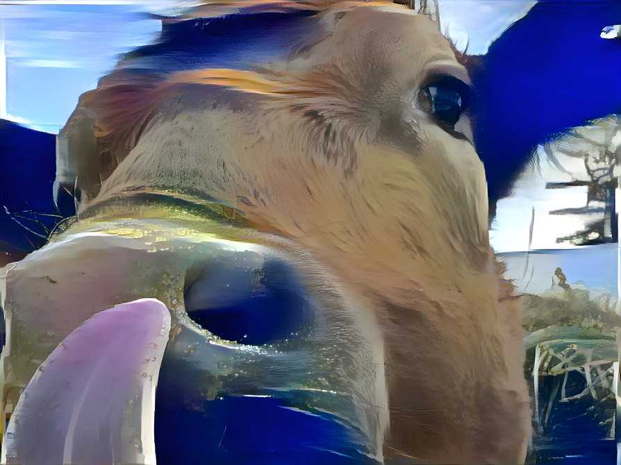 Cow