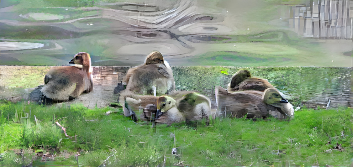 Goslings 