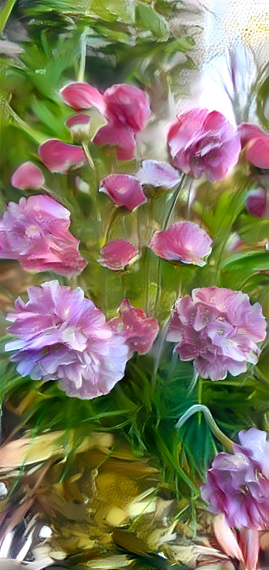 Pink Flowers