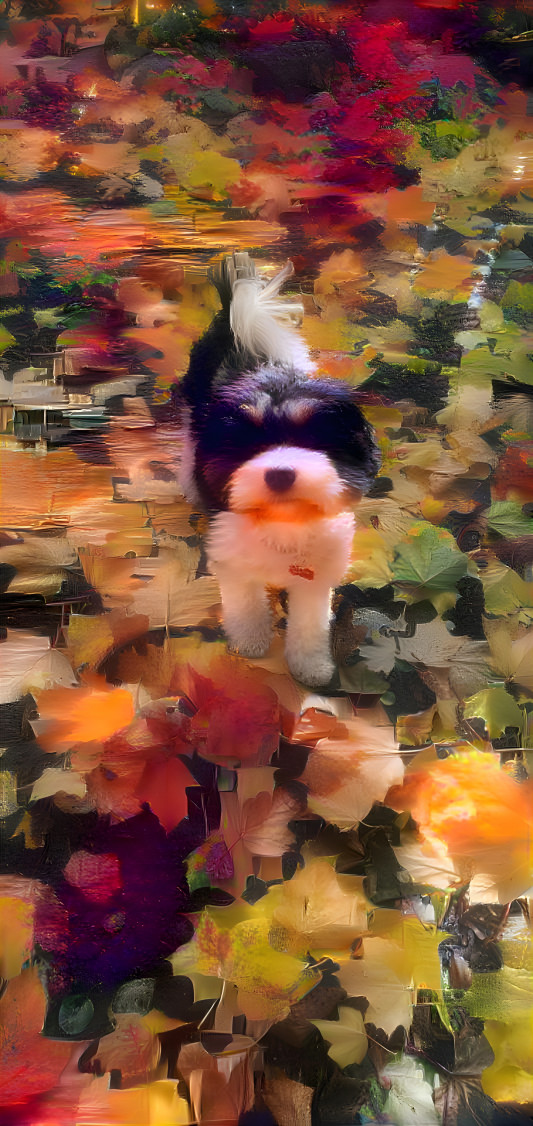 Ernie in the Fall 3