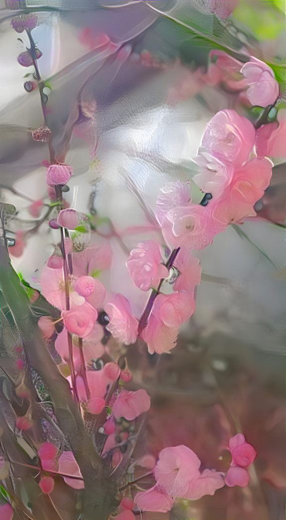 Pink Flowers