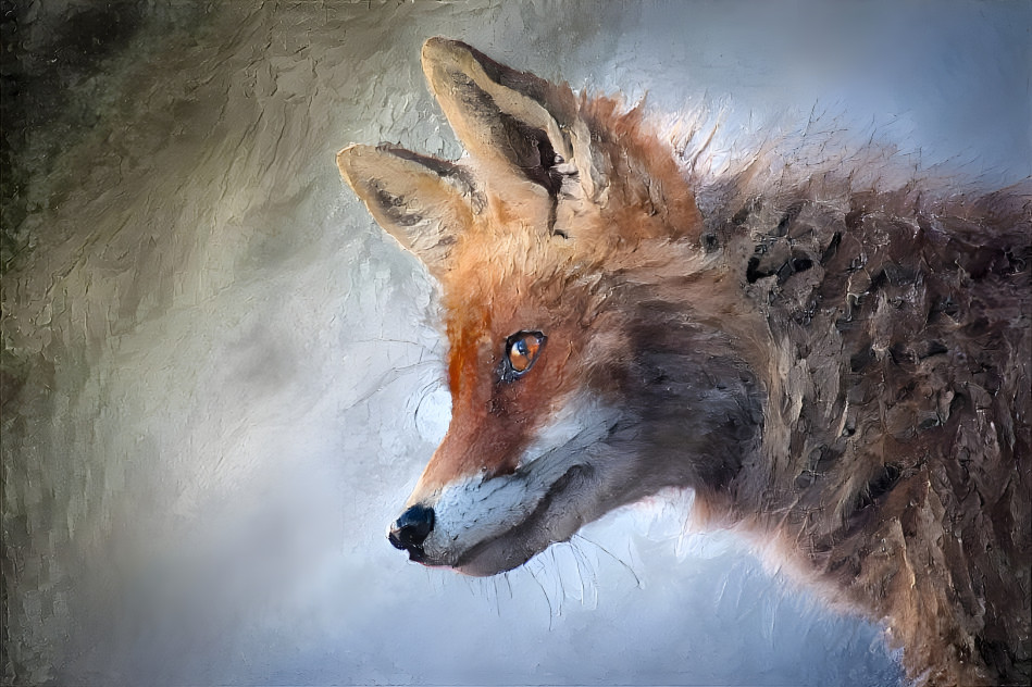 Portrait of a Red Fox