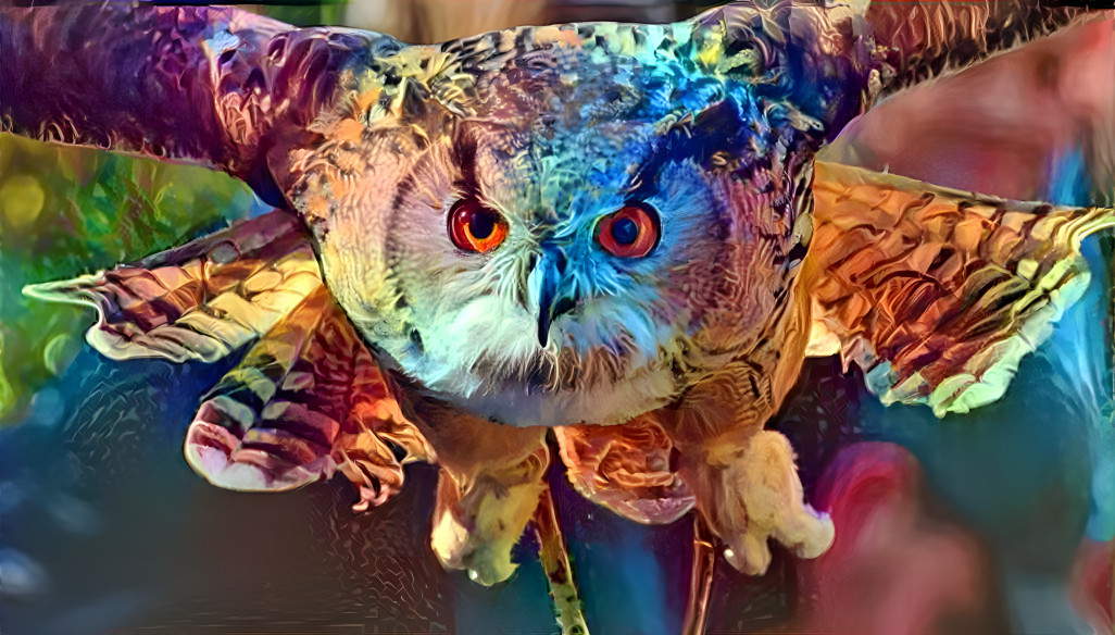 Owl in Flight 