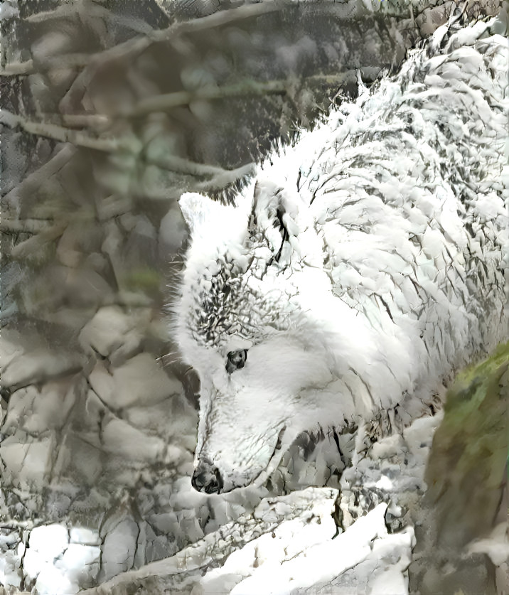 White Wolf in Winter