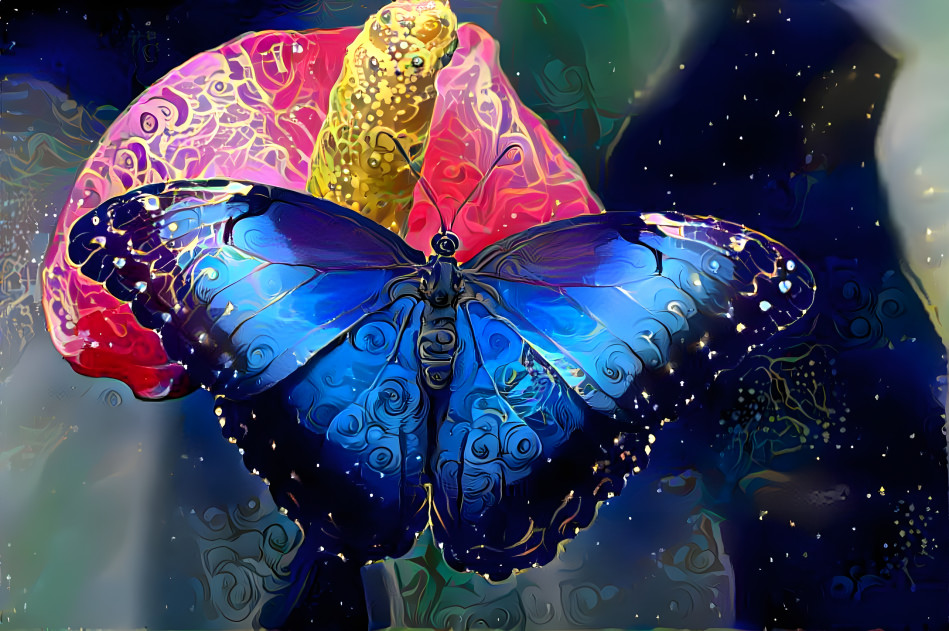 Butterfly and Flower