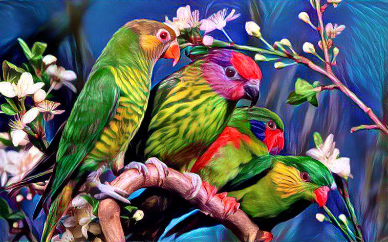 Four Parrots