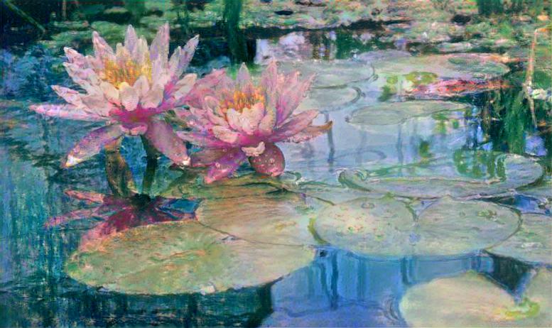 Water Lilies