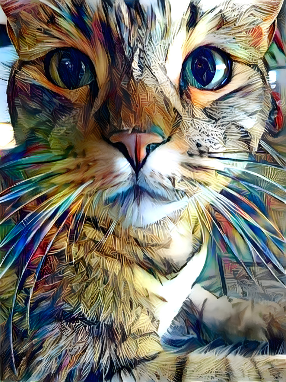 Sentient Feline