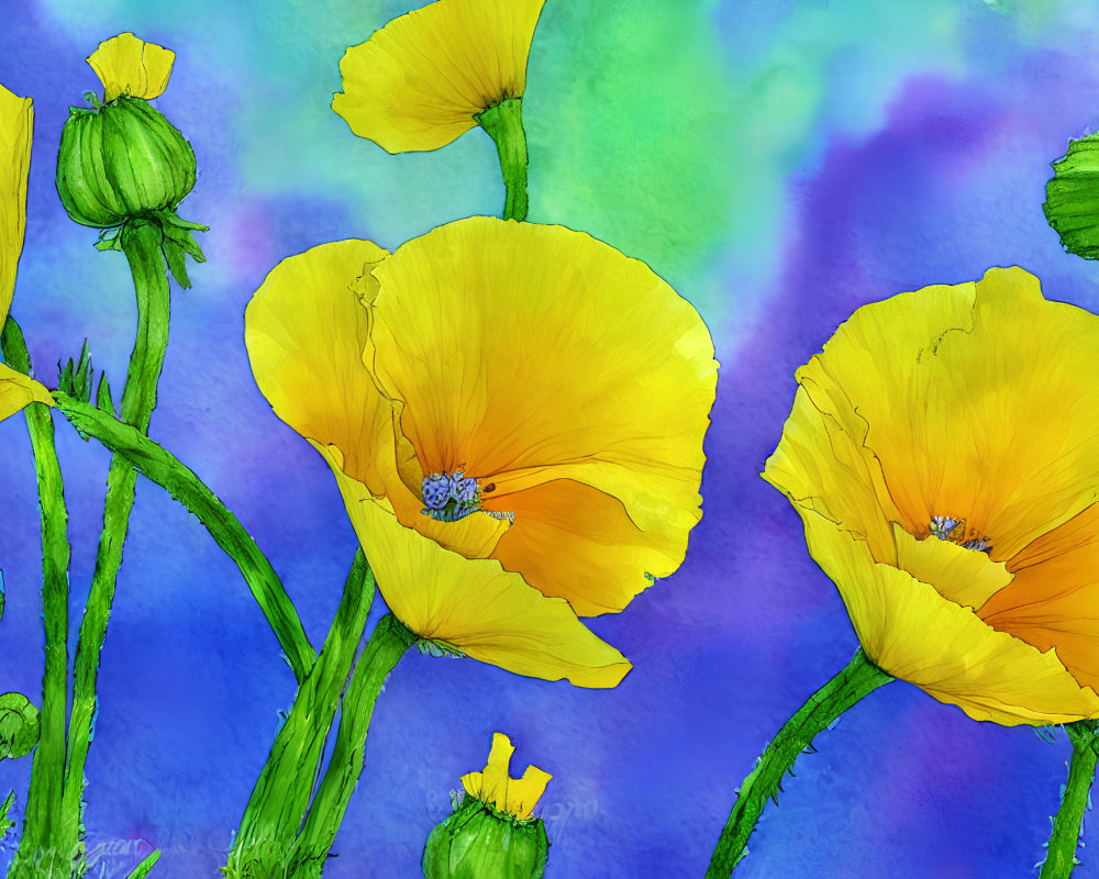 Beautiful Yellow Poppies on Blue and Purple Watercolor Background