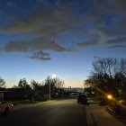 Vibrant Twilight Scene with Cottages, Trees, and Flowers