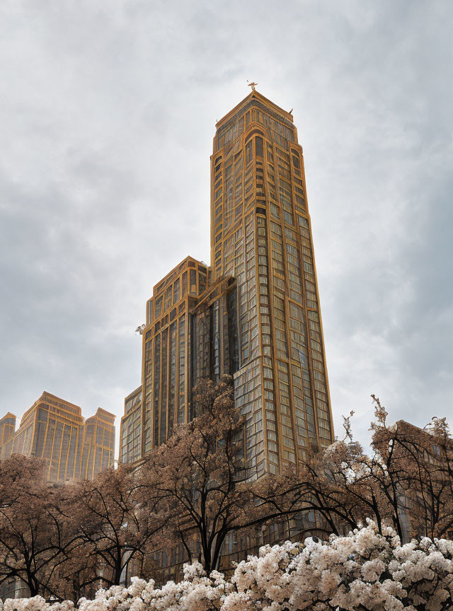 Gold Skyscraper Amid Cherry Blossoms and Cloudy Sky