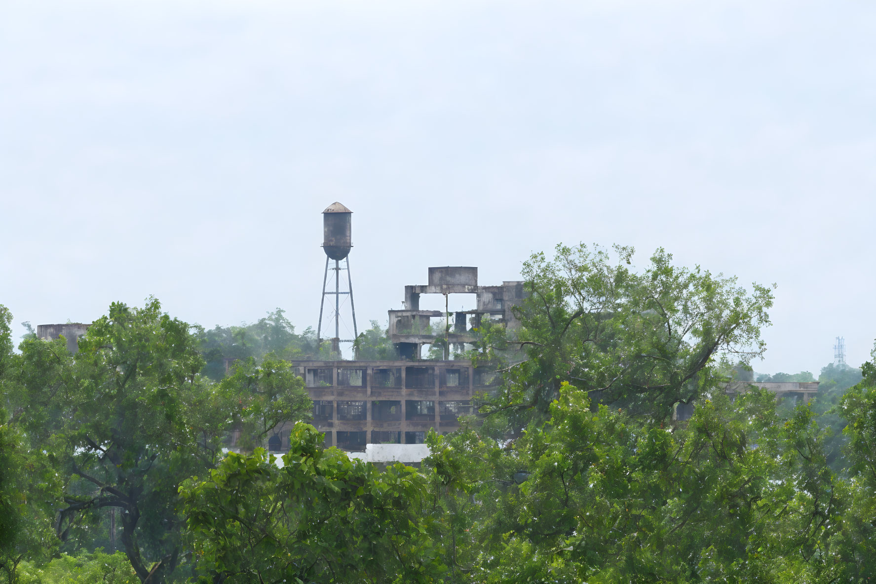 Dilapidated building with old water tower and green foliage