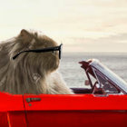 Fluffy cats in red convertible with ocean backdrop