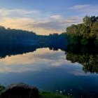 Pink flamingos in serene water with reflections, trees, and dusk sky