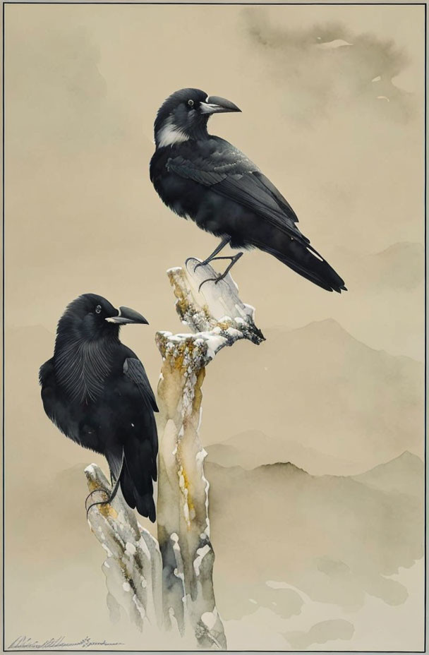 Two crows on mossy branch against beige backdrop