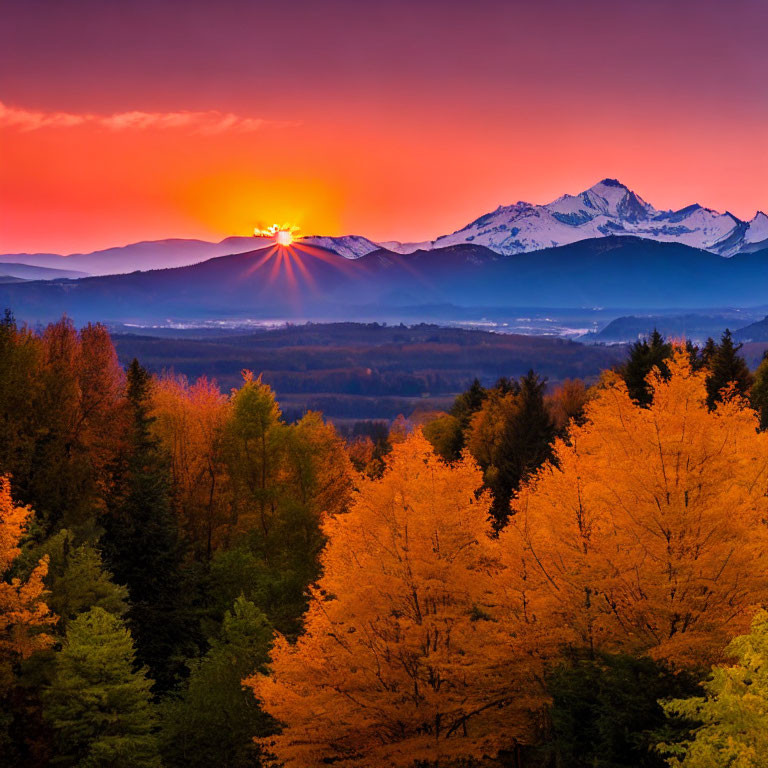 Colorful sunset over snow-capped mountains and autumn trees.