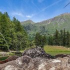 Panoramic autumn landscape: waterfalls, colorful trees, tranquil river