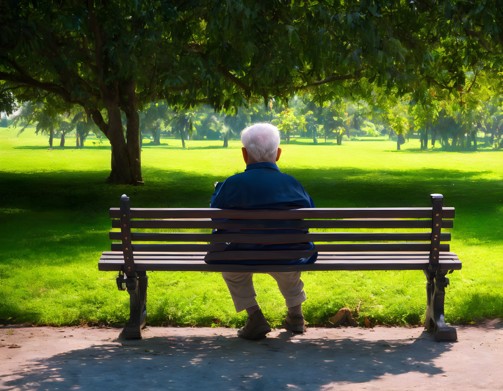 Elderly person on park bench surrounded by lush greenery