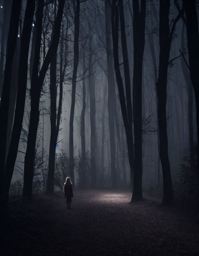 Solitary figure walking in misty, dimly lit forest