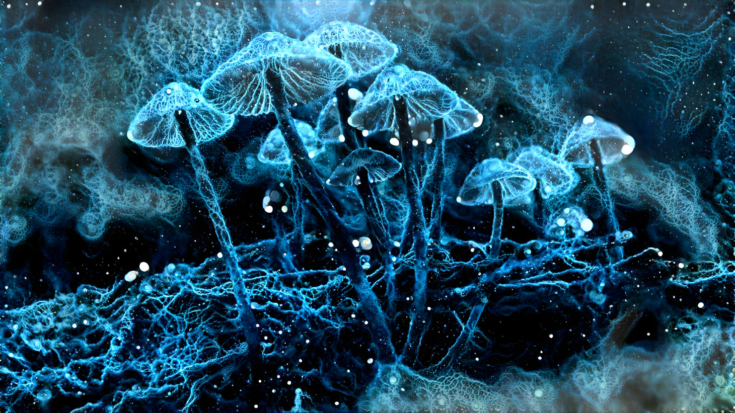 Fractal Mushrooms